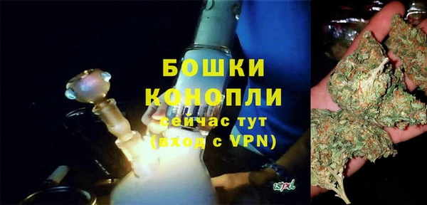 PSILOCYBIN Михайлов