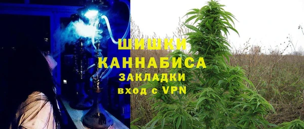 PSILOCYBIN Михайлов