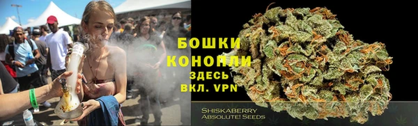 PSILOCYBIN Михайлов