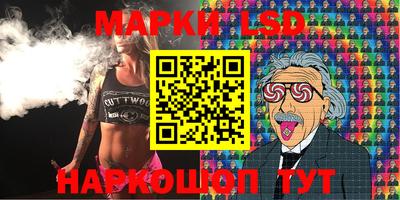 apvp Кингисепп