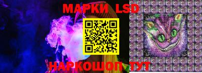 apvp Кингисепп