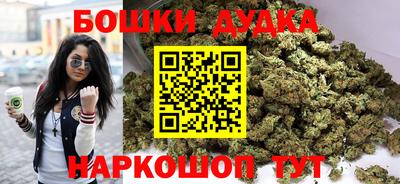 apvp Кингисепп