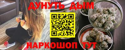 apvp Кингисепп