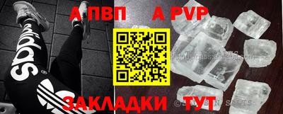 apvp Кингисепп