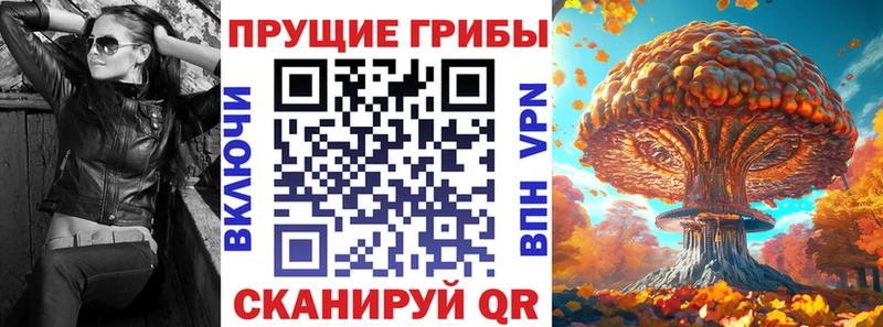 Псилоцибиновые грибы Magic Shrooms  сколько стоит  Ярцево 