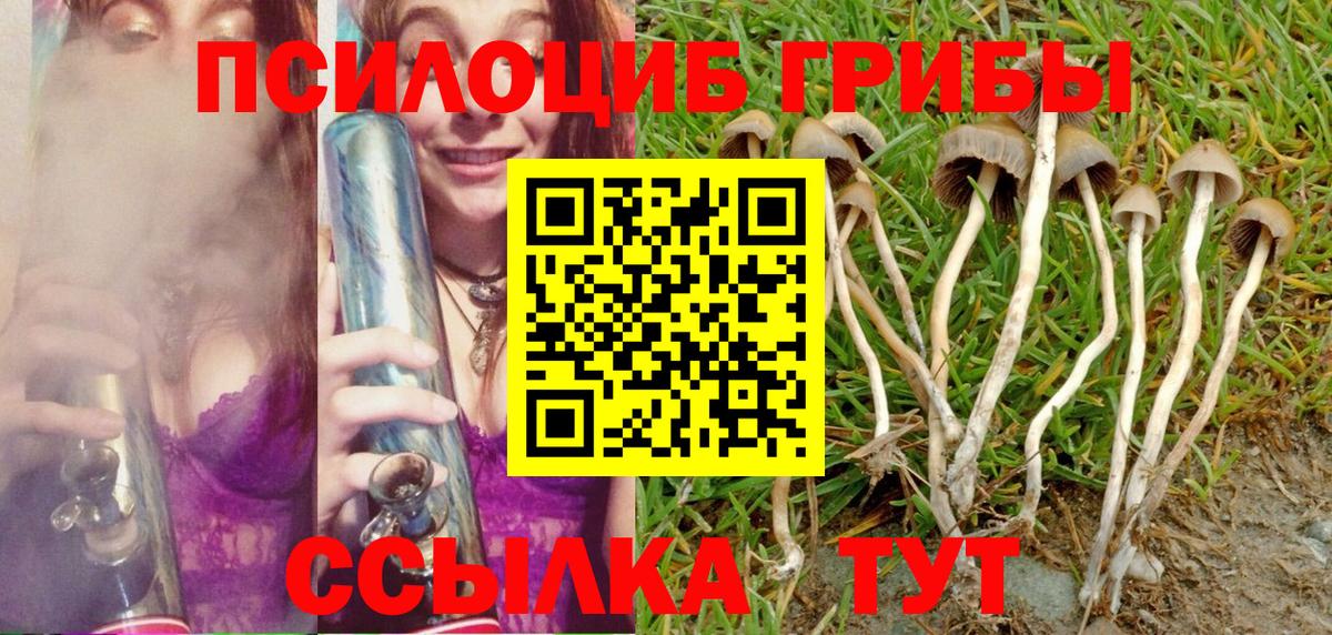 наркотики  Ярцево  Псилоцибиновые грибы мухоморы  Галлюциногенные грибы прущие грибы 